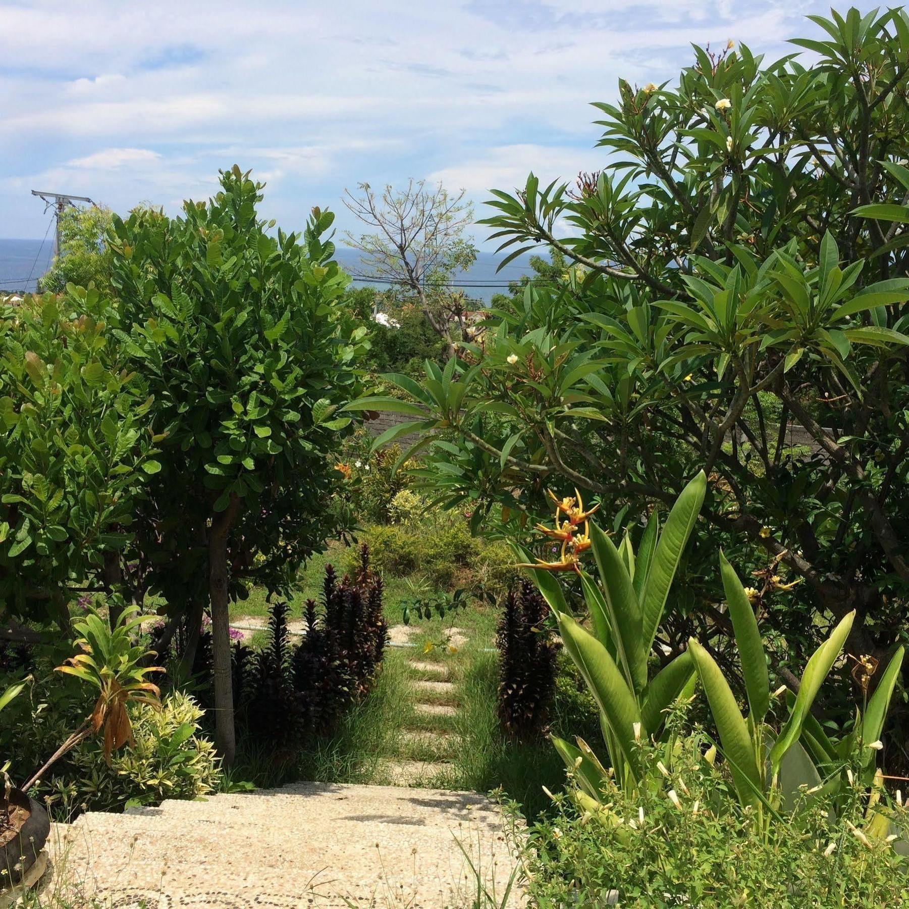 Bali Natur Ловина Экстерьер фото